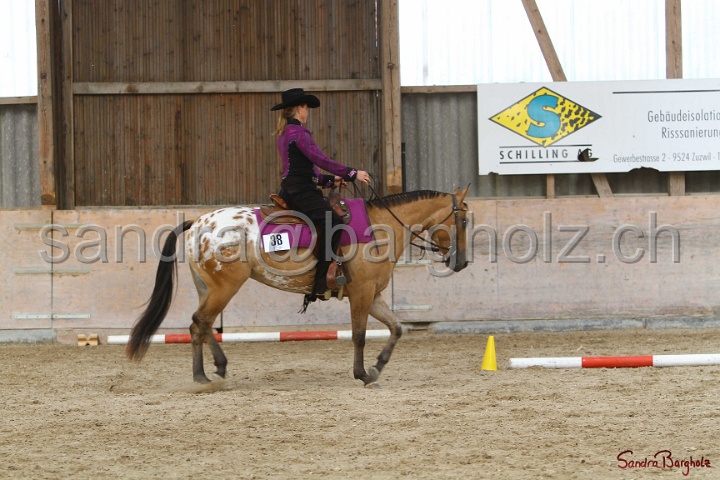 26-ApHC GT_009.jpg
